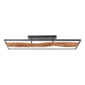 Brilliant - LED Dimmable φωτιστικό οροφής CHAUMONT LED/48W/230V καουτσουκόδεντρο