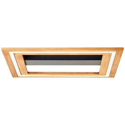 Brilliant - LED Dimmable φωτιστικό οροφής RHEA LED/24W/230V 3000K 45x45 cm