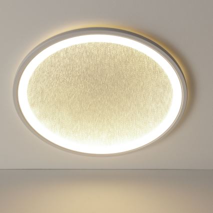 Brilliant - LED Dimmable φωτιστικό οροφής TANIDA LED/31W/230V 3000-6500K + τηλεχειριστήριο