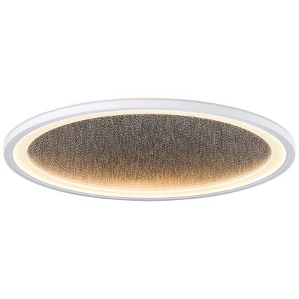 Brilliant - LED Dimmable φωτιστικό οροφής TANIDA LED/31W/230V 3000-6500K + τηλεχειριστήριο