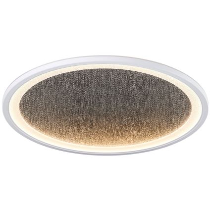 Brilliant - LED Dimmable φωτιστικό οροφής TANIDA LED/31W/230V 3000-6500K + τηλεχειριστήριο