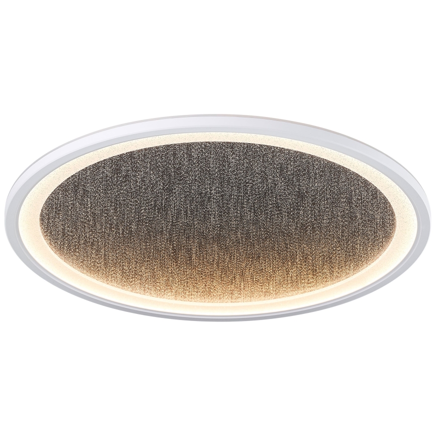 Brilliant - LED Dimmable φωτιστικό οροφής TANIDA LED/31W/230V 3000-6500K + τηλεχειριστήριο