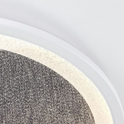 Brilliant - LED Dimmable φωτιστικό οροφής TANIDA LED/31W/230V 3000-6500K + τηλεχειριστήριο