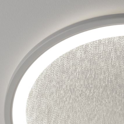 Brilliant - LED Dimmable φωτιστικό οροφής TANIDA LED/31W/230V 3000-6500K + τηλεχειριστήριο