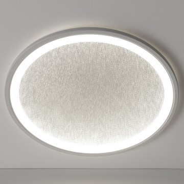 Brilliant - LED Dimmable φωτιστικό οροφής TANIDA LED/31W/230V 3000-6500K + τηλεχειριστήριο