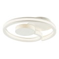 Brilliant - LED φωτιστικό οροφής REVOLA LED/33W/230V 3000/4000/6500K διάμ. 40 εκ. λευκό