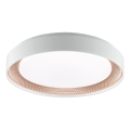Brilliant - LED Ρυθμιζόμενο φωτιστικό οροφής WALDO LED/24W/230V 3000-6500K Ø 38,5 cm λευκό/ροζ χρυσό + τηλεχειριστήριο