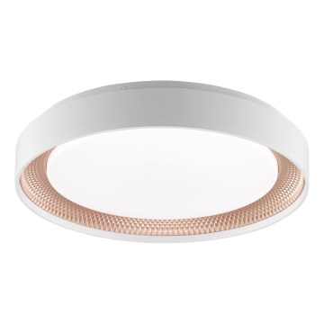 Brilliant - LED Ρυθμιζόμενο φωτιστικό οροφής WALDO LED/24W/230V 3000-6500K Ø 38,5 cm λευκό/ροζ χρυσό + τηλεχειριστήριο