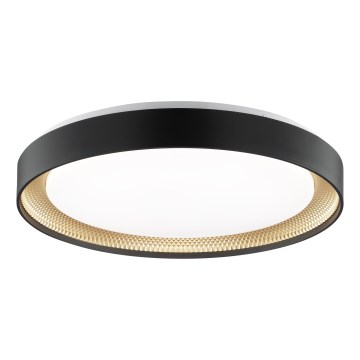 Brilliant - LED Ρυθμιζόμενο Φωτιστικό Οροφής WALDO LED/36W/230V 3000-6500K Ø 48,5 cm μαύρο/χρυσό + τηλεχειριστήριο