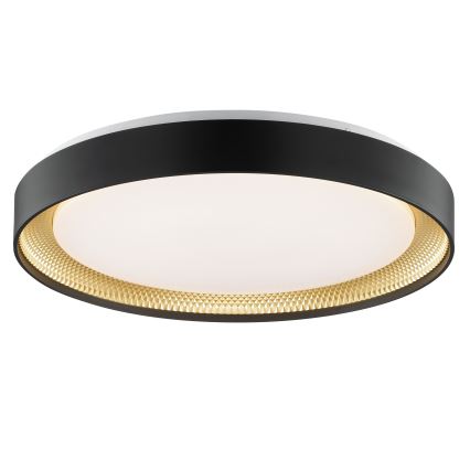 Brilliant - LED Ρυθμιζόμενο Φωτιστικό Οροφής WALDO LED/36W/230V 3000-6500K Ø 48,5 cm μαύρο/χρυσό + τηλεχειριστήριο