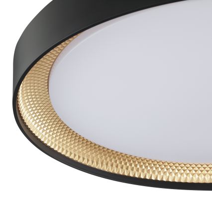 Brilliant - LED Ρυθμιζόμενο Φωτιστικό Οροφής WALDO LED/36W/230V 3000-6500K Ø 48,5 cm μαύρο/χρυσό + τηλεχειριστήριο