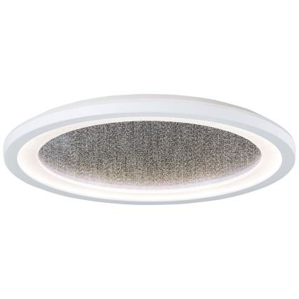 Brilliant - LED RGBW Dimmable φωτιστικό οροφής TANIDA LED/22W/230V 3000-6500K+ τηλεχειριστήριο