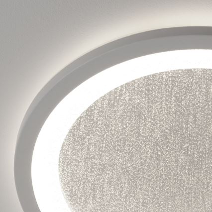 Brilliant - LED RGBW Dimmable φωτιστικό οροφής TANIDA LED/22W/230V 3000-6500K+ τηλεχειριστήριο