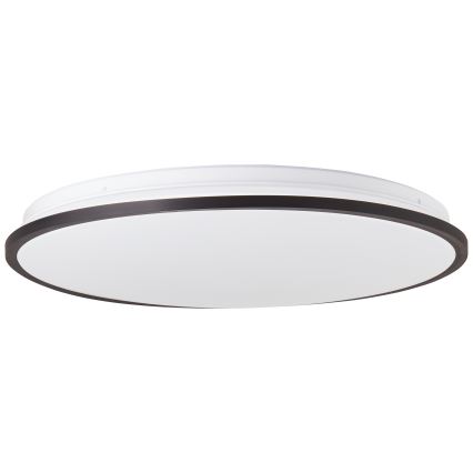 Brilliant - LED RGBW Dimmable φωτιστικό οροφής HEIDA LED/30W/230V 3000-6500K + τηλεχειριστήριο