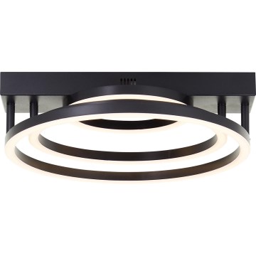 Brilliant - LED Ρυθμιζόμενο φωτιστικό οροφής PEDLEY LED/36W/230V μαύρο