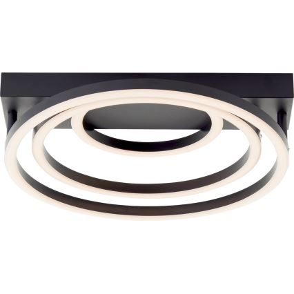 Brilliant - LED Ρυθμιζόμενο φωτιστικό οροφής PEDLEY LED/36W/230V μαύρο