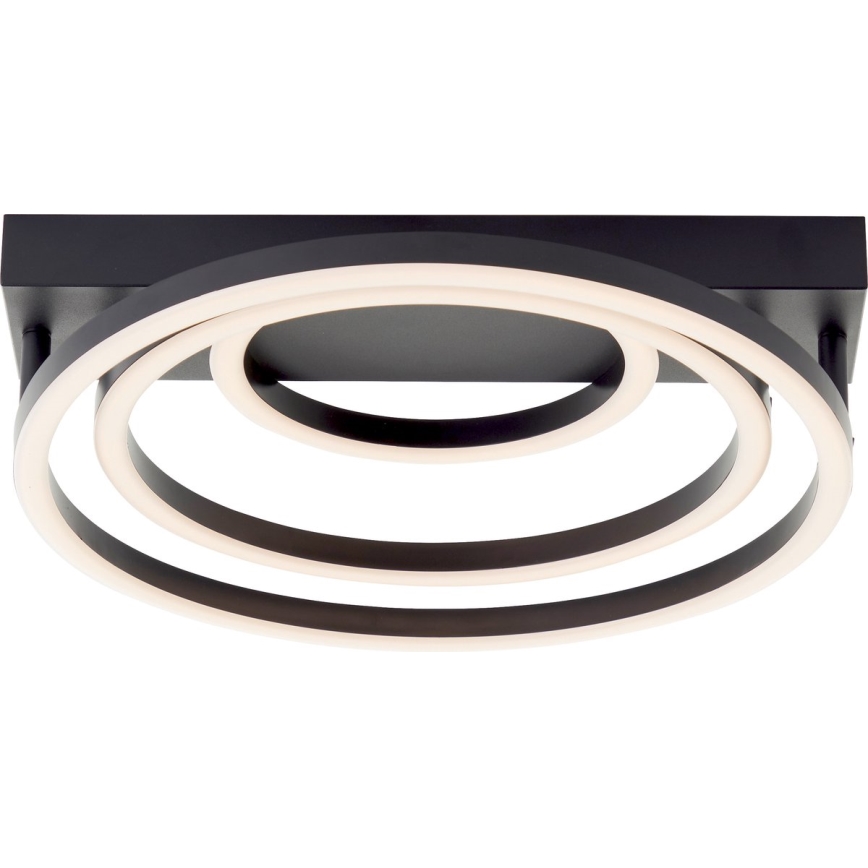 Brilliant - LED Ρυθμιζόμενο φωτιστικό οροφής PEDLEY LED/36W/230V μαύρο