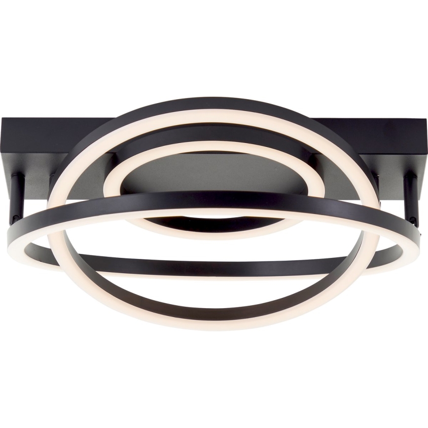 Brilliant - LED Ρυθμιζόμενο φωτιστικό οροφής PEDLEY LED/36W/230V μαύρο