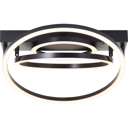 Brilliant - LED Ρυθμιζόμενο φωτιστικό οροφής PEDLEY LED/36W/230V μαύρο