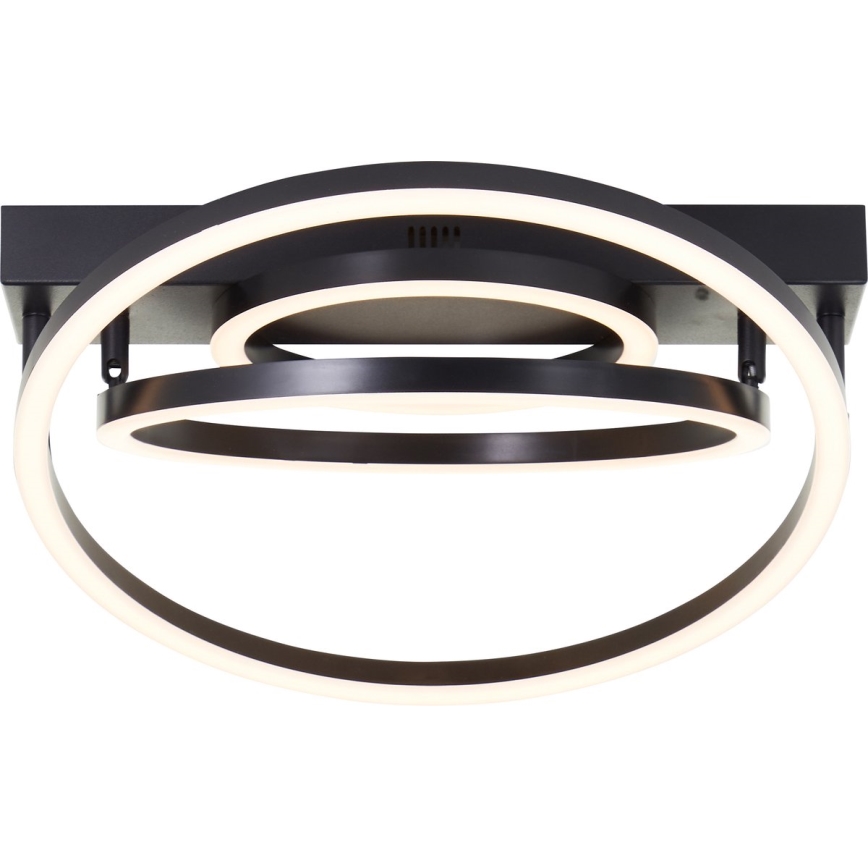 Brilliant - LED Ρυθμιζόμενο φωτιστικό οροφής PEDLEY LED/36W/230V μαύρο
