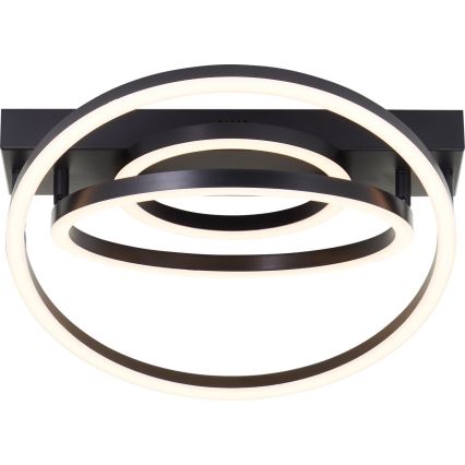 Brilliant - LED Ρυθμιζόμενο φωτιστικό οροφής PEDLEY LED/36W/230V μαύρο