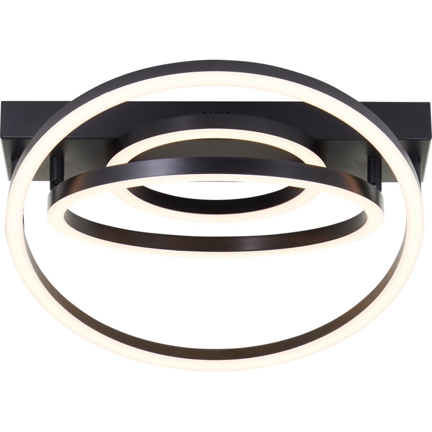 Brilliant - LED Ρυθμιζόμενο φωτιστικό οροφής PEDLEY LED/36W/230V μαύρο