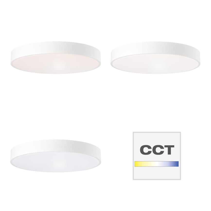 Brilliant - Ρυθμιζόμενο LED φωτιστικό οροφής SLIMLINE LED/60W/230V 3000-6500K Ø 49 cm λευκό + τηλεχειριστήριο