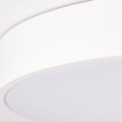 Brilliant - Ρυθμιζόμενο LED φωτιστικό οροφής SLIMLINE LED/60W/230V 3000-6500K Ø 49 cm λευκό + τηλεχειριστήριο