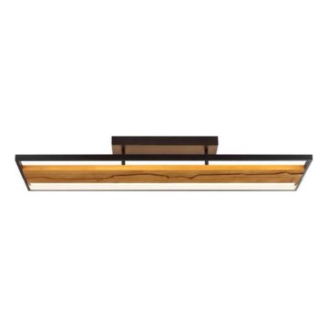 Brilliant - LED Ρυθμιζόμενο φωτιστικό οροφής THUNDER LED/42W/230V, φινίρισμα πεύκου