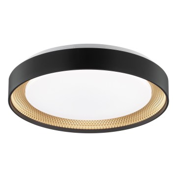Brilliant - Ρυθμιζόμενο φωτιστικό οροφής LED WALDO LED/24W/230V 3000-6500K Ø 38,5 εκ. μαύρο/χρυσό + τηλεχειριστήριο