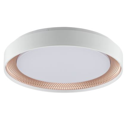 Brilliant - LED Ρυθμιζόμενο φωτιστικό οροφής WALDO LED/24W/230V 3000-6500K Ø 38,5 cm λευκό/ροζ χρυσό + τηλεχειριστήριο