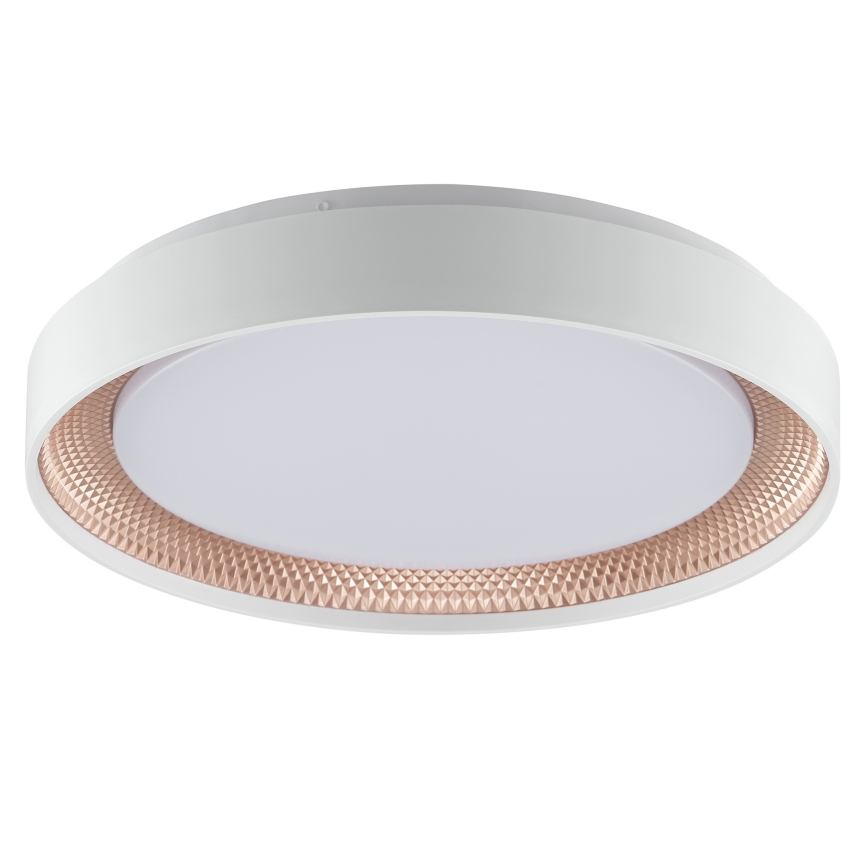 Brilliant - LED Ρυθμιζόμενο φωτιστικό οροφής WALDO LED/24W/230V 3000-6500K Ø 38,5 cm λευκό/ροζ χρυσό + τηλεχειριστήριο