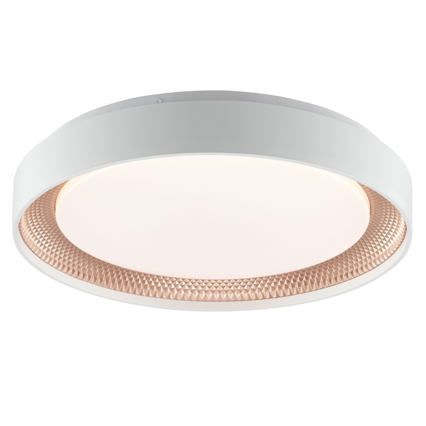 Brilliant - LED Ρυθμιζόμενο φωτιστικό οροφής WALDO LED/24W/230V 3000-6500K Ø 38,5 cm λευκό/ροζ χρυσό + τηλεχειριστήριο