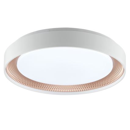 Brilliant - LED Ρυθμιζόμενο φωτιστικό οροφής WALDO LED/24W/230V 3000-6500K Ø 38,5 cm λευκό/ροζ χρυσό + τηλεχειριστήριο