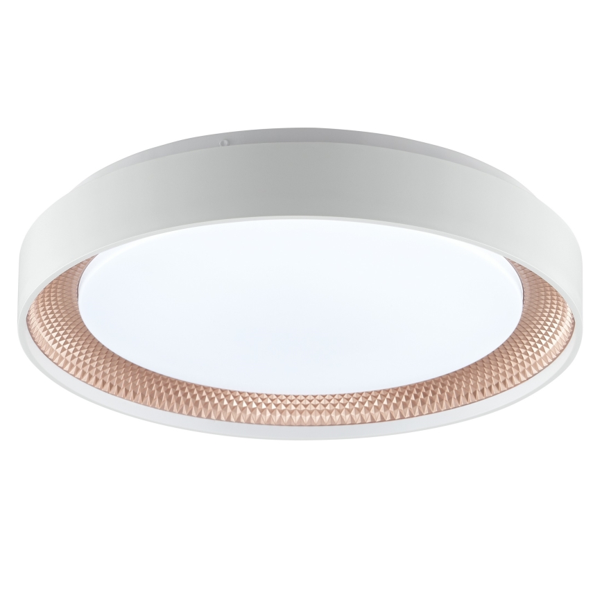 Brilliant - LED Ρυθμιζόμενο φωτιστικό οροφής WALDO LED/24W/230V 3000-6500K Ø 38,5 cm λευκό/ροζ χρυσό + τηλεχειριστήριο