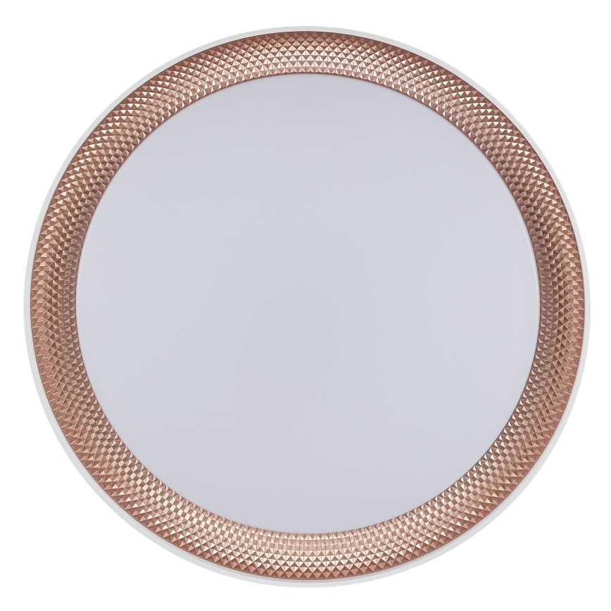 Brilliant - LED Ρυθμιζόμενο φωτιστικό οροφής WALDO LED/24W/230V 3000-6500K Ø 38,5 cm λευκό/ροζ χρυσό + τηλεχειριστήριο