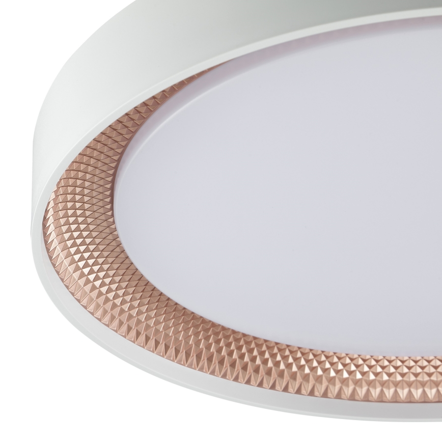 Brilliant - LED Ρυθμιζόμενο φωτιστικό οροφής WALDO LED/24W/230V 3000-6500K Ø 38,5 cm λευκό/ροζ χρυσό + τηλεχειριστήριο