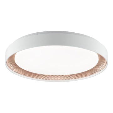 Brilliant - Ρυθμιζόμενο φωτιστικό οροφής LED WALDO LED/36W/230V 3000-6500K Ø 48,5 cm λευκό/ροζ χρυσό + τηλεχειριστήριο