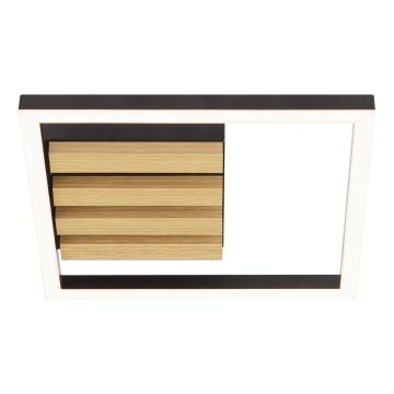 Brilliant - Ρυθμιζόμενο LED φωτιστικό οροφής CALMA LED/15W/230V μαύρο