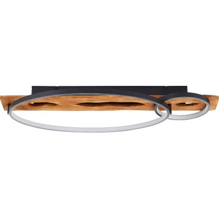 Brilliant - Ρυθμιζόμενο φωτιστικό οροφής LED PIRUS LED/30W/230V 30x70 cm ξύλο καουτσούκ