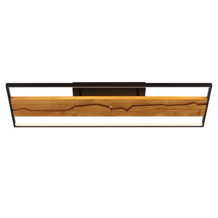 Brilliant - LED Ρυθμιζόμενο φωτιστικό οροφής THUNDER LED/42W/230V, φινίρισμα πεύκου