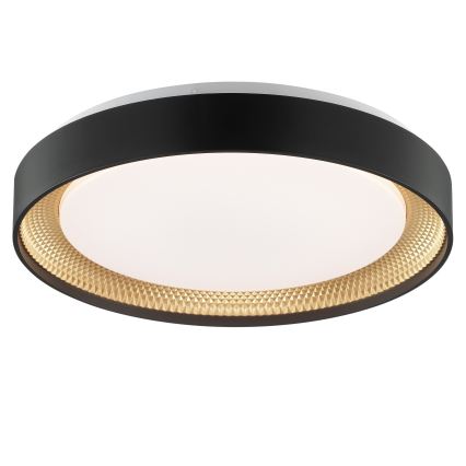 Brilliant - Ρυθμιζόμενο φωτιστικό οροφής LED WALDO LED/24W/230V 3000-6500K Ø 38,5 εκ. μαύρο/χρυσό + τηλεχειριστήριο