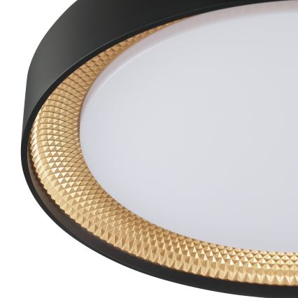Brilliant - Ρυθμιζόμενο φωτιστικό οροφής LED WALDO LED/24W/230V 3000-6500K Ø 38,5 εκ. μαύρο/χρυσό + τηλεχειριστήριο