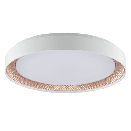 Brilliant - Ρυθμιζόμενο φωτιστικό οροφής LED WALDO LED/36W/230V 3000-6500K Ø 48,5 cm λευκό/ροζ χρυσό + τηλεχειριστήριο
