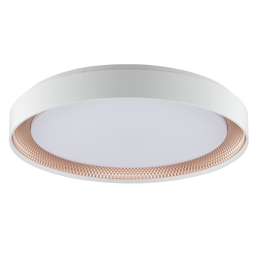 Brilliant - Ρυθμιζόμενο φωτιστικό οροφής LED WALDO LED/36W/230V 3000-6500K Ø 48,5 cm λευκό/ροζ χρυσό + τηλεχειριστήριο