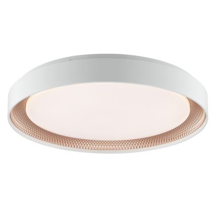 Brilliant - Ρυθμιζόμενο φωτιστικό οροφής LED WALDO LED/36W/230V 3000-6500K Ø 48,5 cm λευκό/ροζ χρυσό + τηλεχειριστήριο