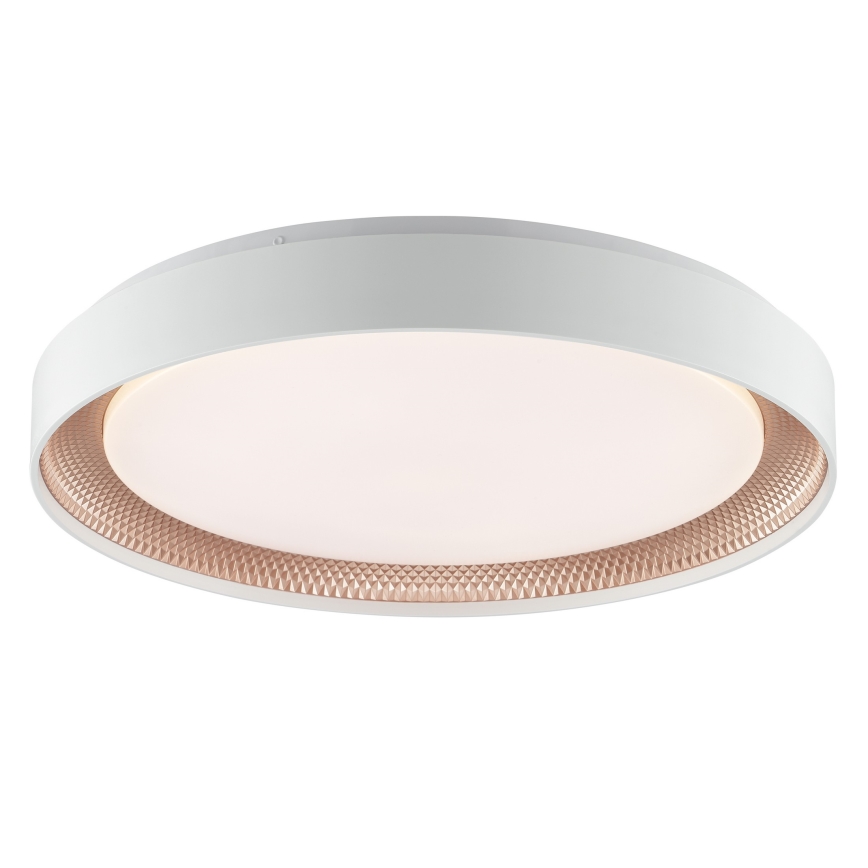 Brilliant - Ρυθμιζόμενο φωτιστικό οροφής LED WALDO LED/36W/230V 3000-6500K Ø 48,5 cm λευκό/ροζ χρυσό + τηλεχειριστήριο