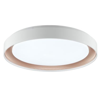 Brilliant - Ρυθμιζόμενο φωτιστικό οροφής LED WALDO LED/36W/230V 3000-6500K Ø 48,5 cm λευκό/ροζ χρυσό + τηλεχειριστήριο