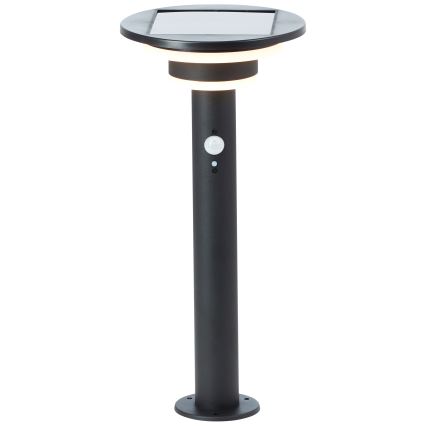 Brilliant - Ηλιακή λάμπα LED με αισθητήρα GARVINA LED/3W/3,7V 45 cm IP44 μαύρο