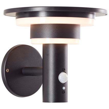 Brilliant - Ηλιακό φωτιστικό τοίχου LED με αισθητήρα GARVINA LED/3W/3,7V IP44 μαύρο